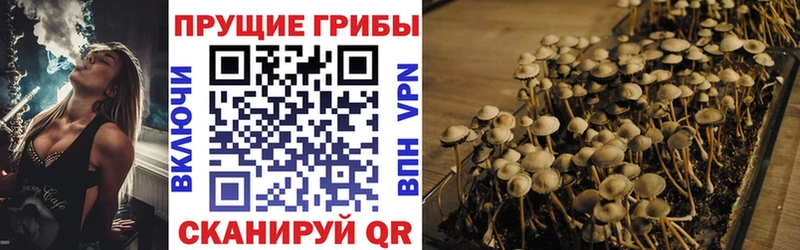 Галлюциногенные грибы прущие грибы  Купить где  Талица 